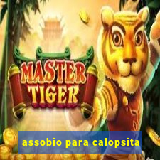 assobio para calopsita